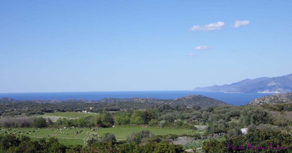 La Canardiere *