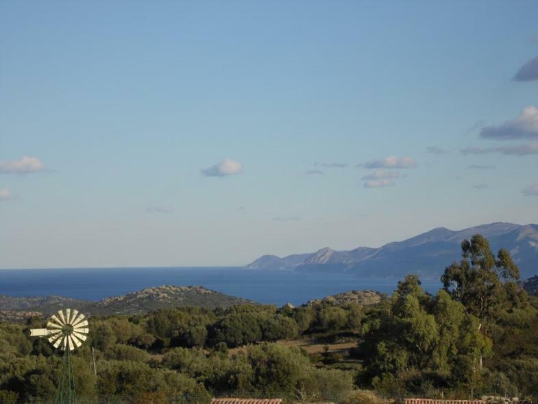 La Canardiere * Casta